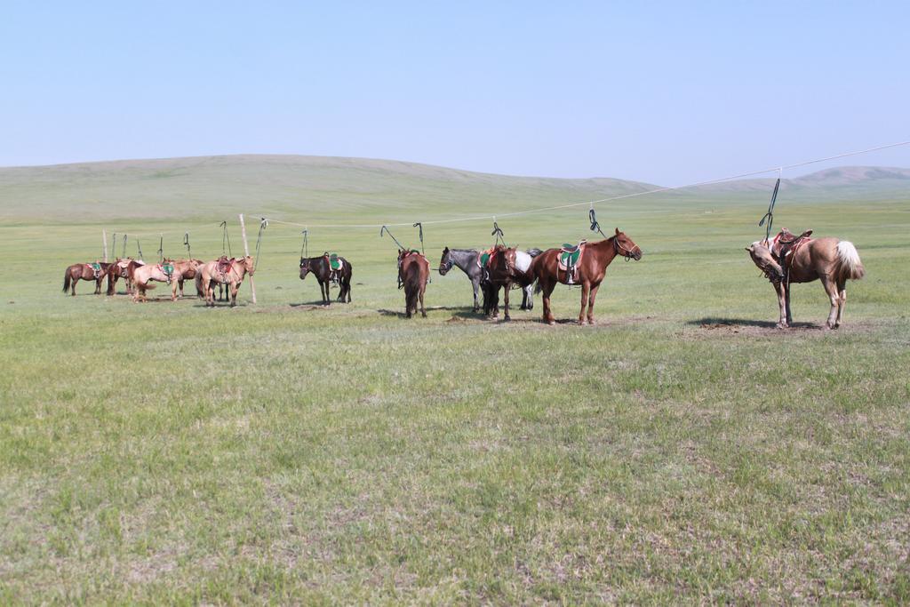 Penzion Nomad Horse Camp Nalayh Exteriér fotografie
