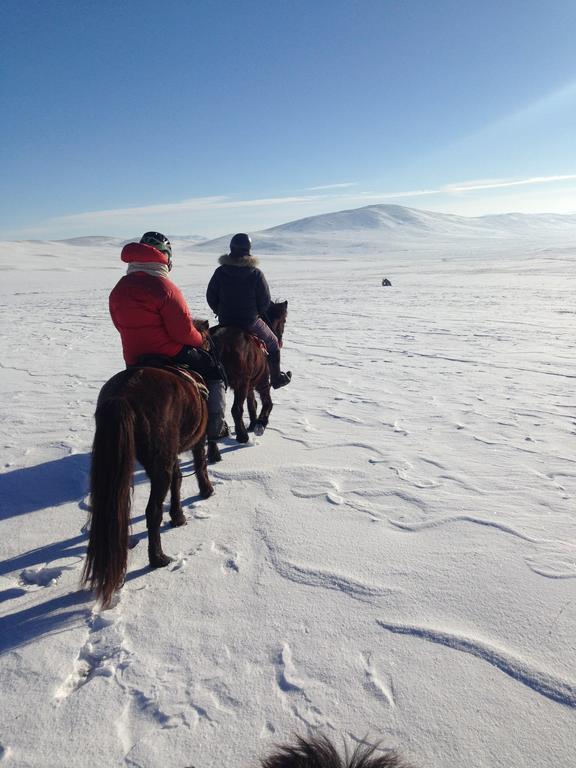 Penzion Nomad Horse Camp Nalayh Exteriér fotografie